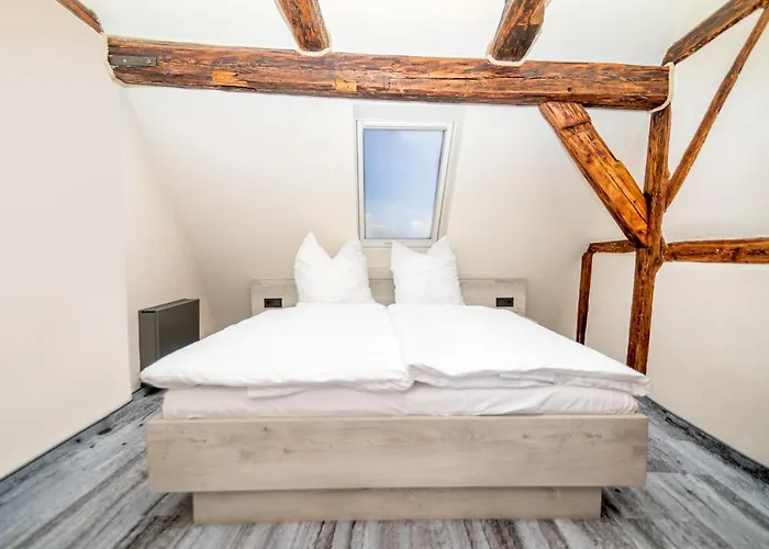 H+m Boarding Lauf an der Pegnitz